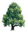 tree2.gif (7979 bytes)